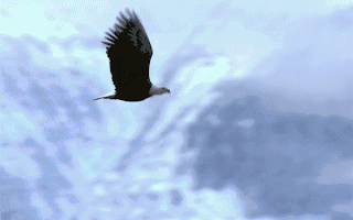 大宏立：公司始终密切关注国家重大项目的动