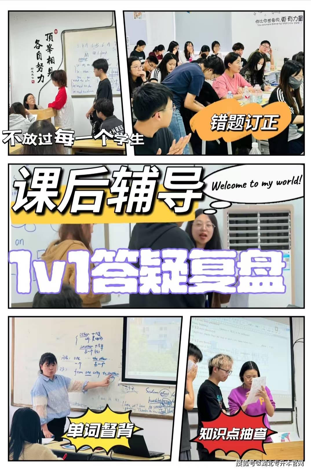 湖北统招专升本民法常考经典案例分析